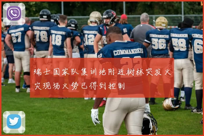 瑞士国家队集训地附近树林突发火灾现场火势已得到控制
